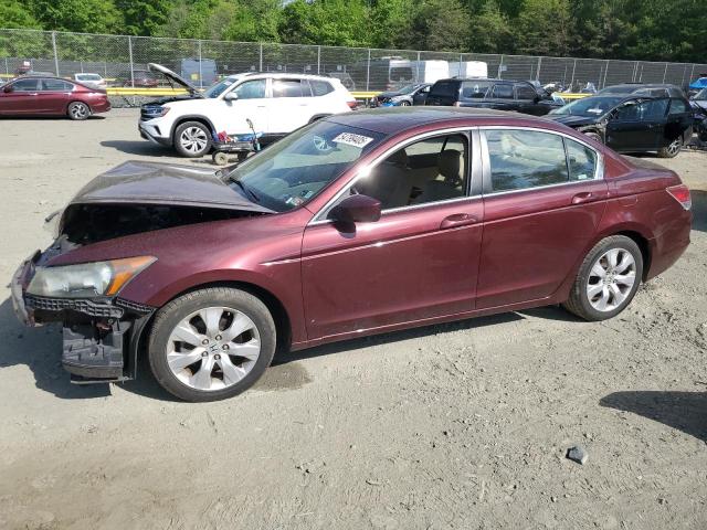 HONDA ACCORD EXL