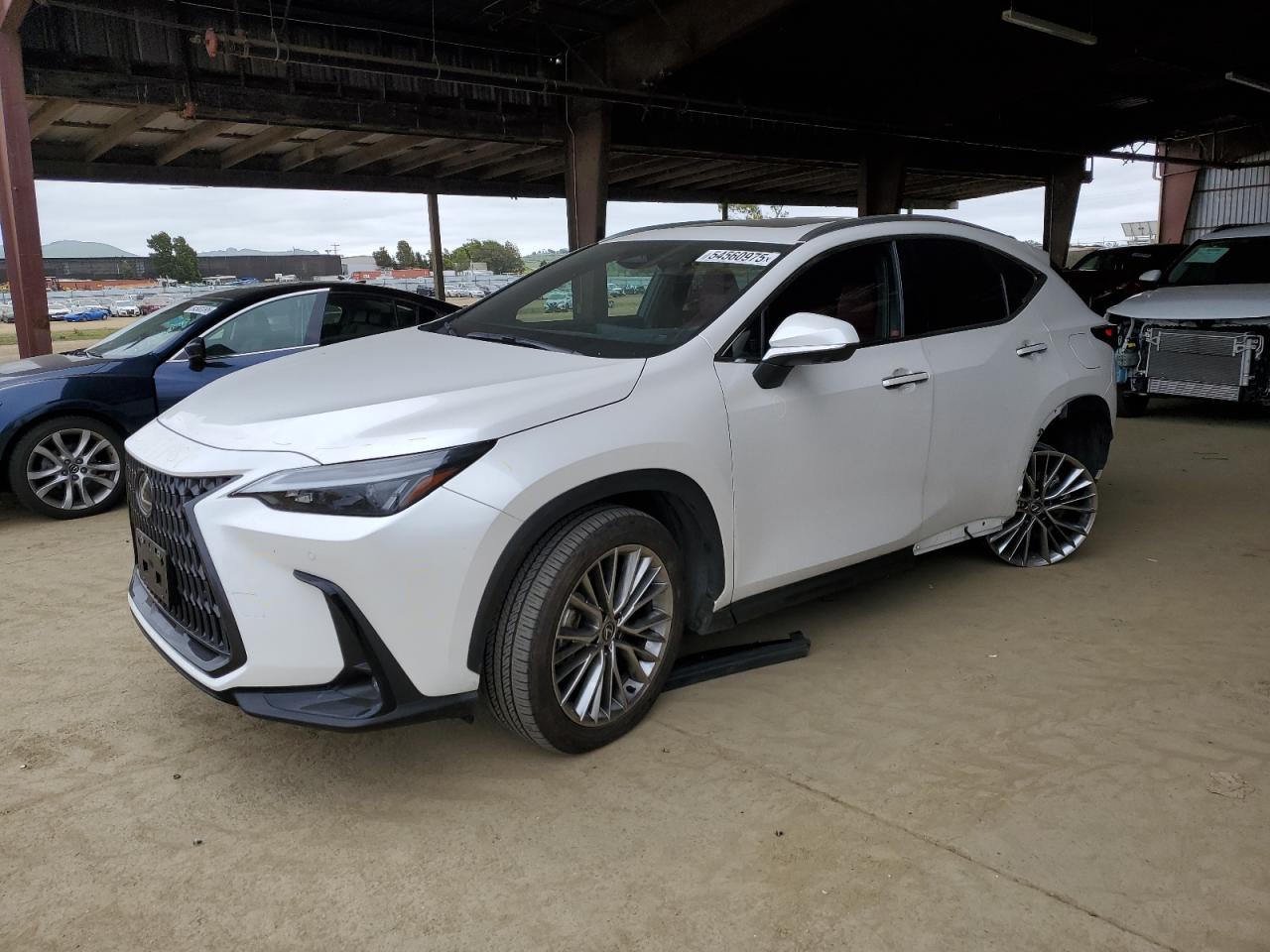 LEXUS NX 350 PREMIUM