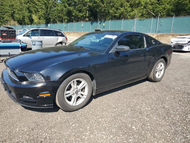 Vin: 1zvbp8am6e5217452, lot: 53317265, ford all models 2014 img_1