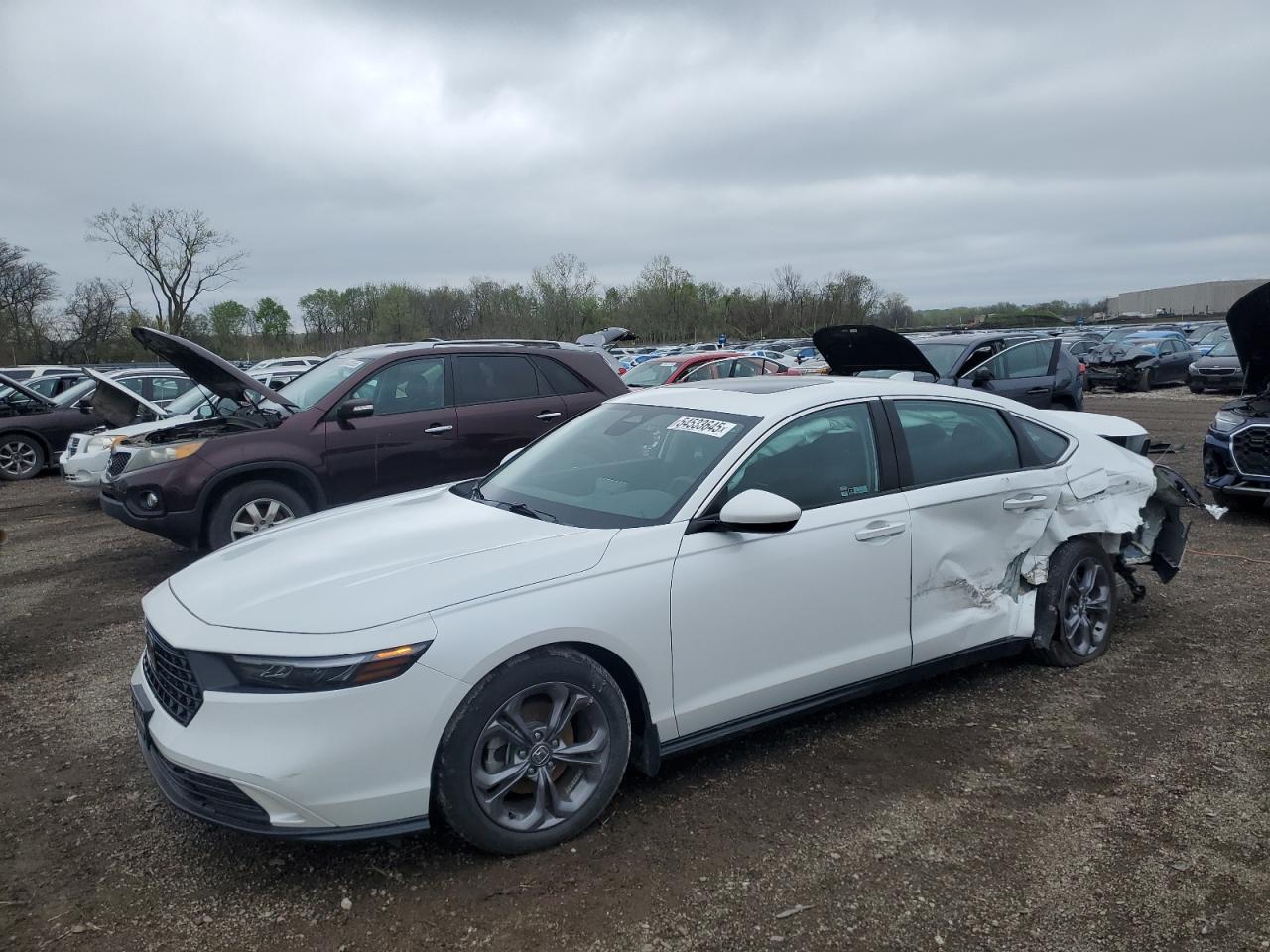 HONDA ACCORD EX
