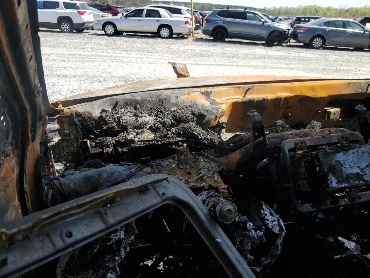 Lot #3315972081 2009 HONDA CR-V EXL