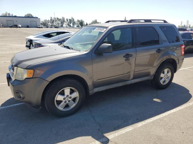 Vin: 1fmcu0d71akc23660, lot: 52658405, ford escape xlt 2010 img_1