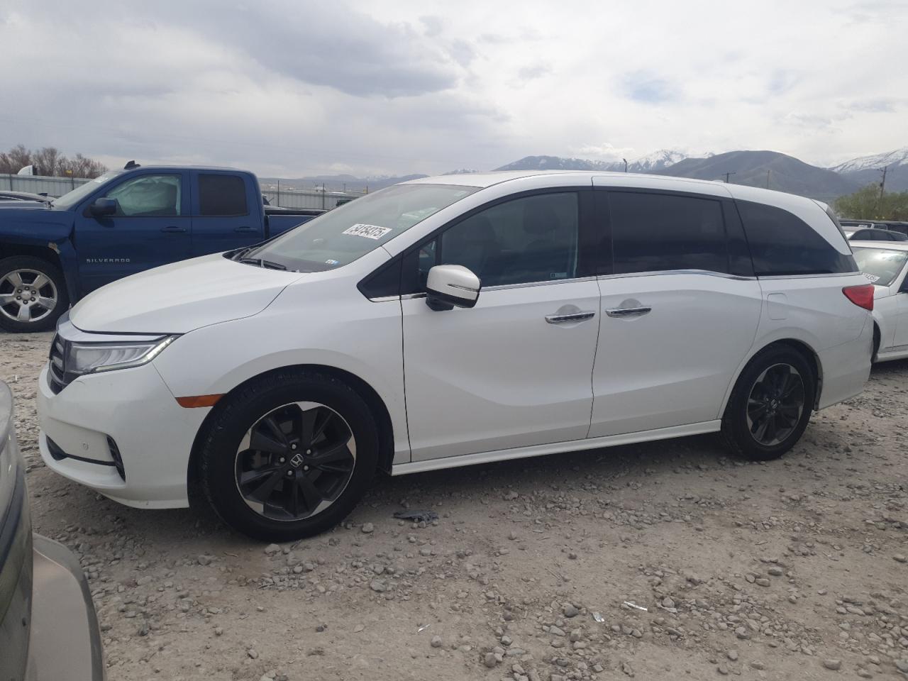 HONDA ODYSSEY ELITE
