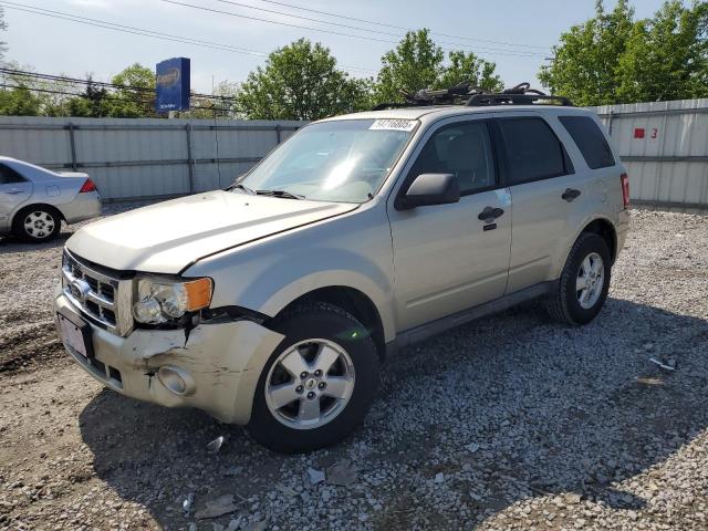 Vin: 1fmcu0d75akd00322, lot: 54716805, ford escape xlt 2010 img_1