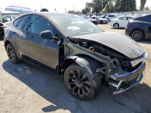 2023 TESLA MODEL Y 7SAYGDEE4PA031239
