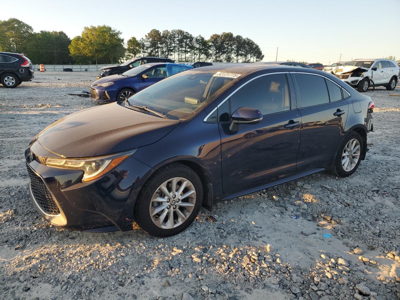 TOYOTA COROLLA XLE