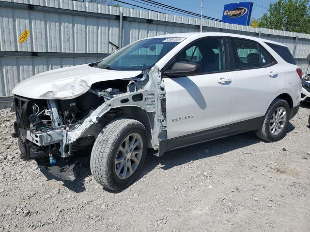 Vin: 3gnax5ev7ls546283, lot: 53881005, chevrolet equinox 2020 img_1