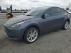 2023 TESLA MODEL Y - 7SAYGDEE6PA190523