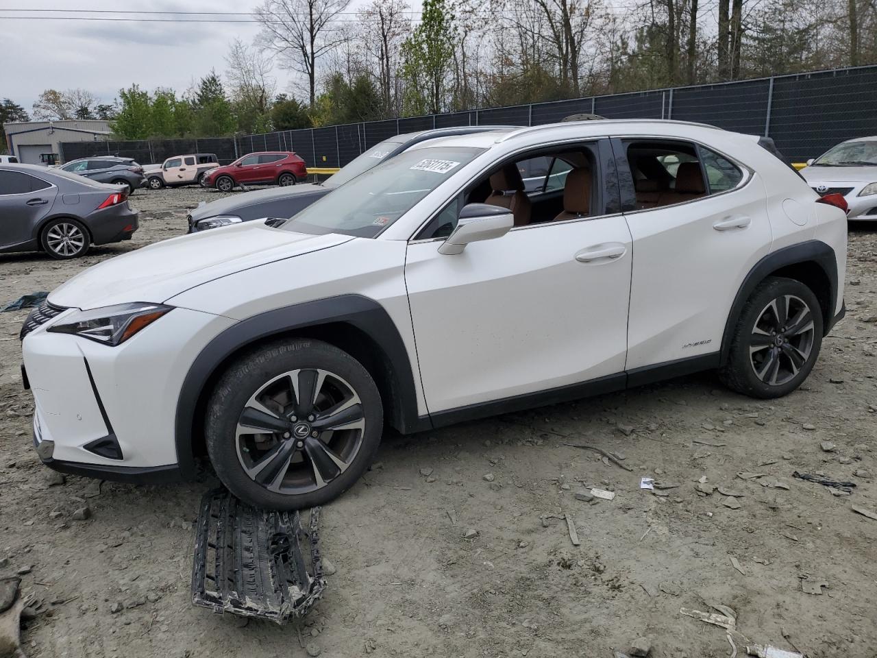 LEXUS UX 250H