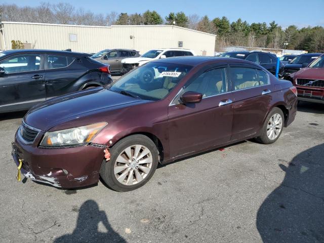 HONDA ACCORD EXL
