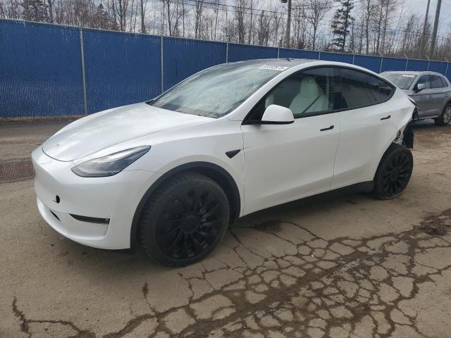 Vin: lrwygdeexpc228734, lot: 53232875, tesla model y 2023 img_1