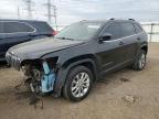 2019 JEEP CHEROKEE L - 1C4PJLCB9KD269779