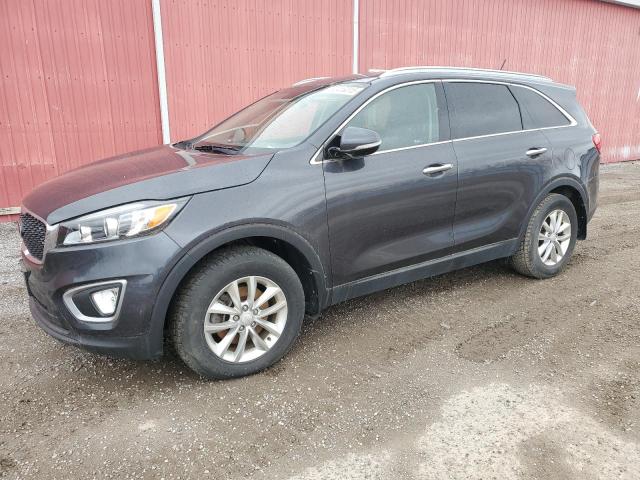 Vin: 5xypg4a34gg161983, lot: 52416315, kia sorento lx 2016 img_1