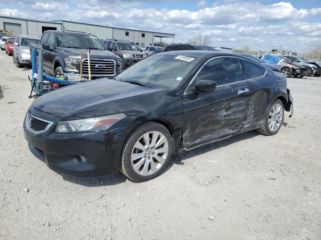 HONDA ACCORD EXL