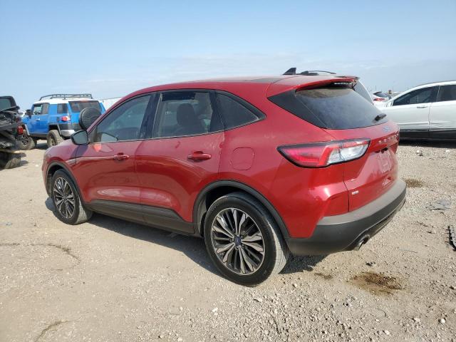Vin: 1fmcu0g66mub09987, lot: 53402595, ford escape se 20212