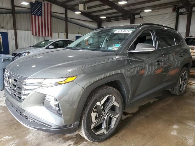 Vin: 5nmjecae9ph181255, lot: 54249965, hyundai tucson limited 2023 img_1