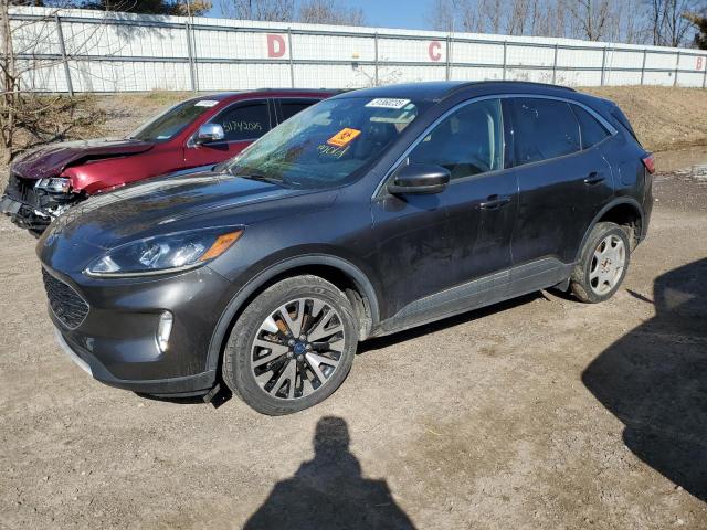 FORD ESCAPE SEL