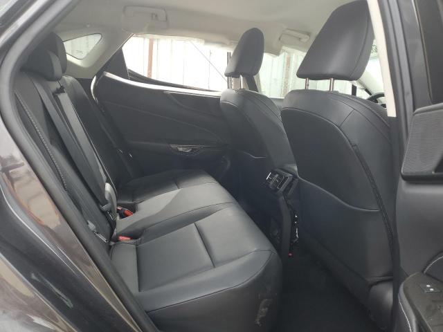 2023 LEXUS NX 250 2T2ADCAZXPC003877
