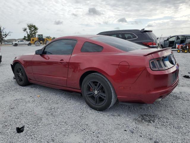 Vin: 1zvbp8am6e5303229, lot: 51455685, ford all models 20142