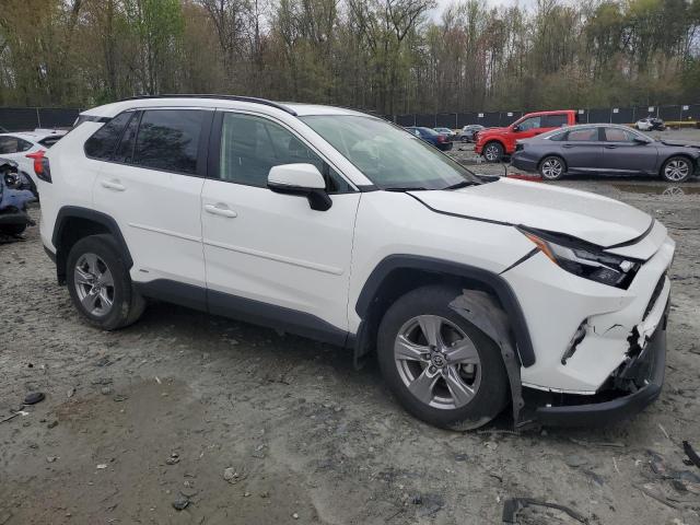 2024 TOYOTA RAV4 XLE - JTMRWRFV8RD212566