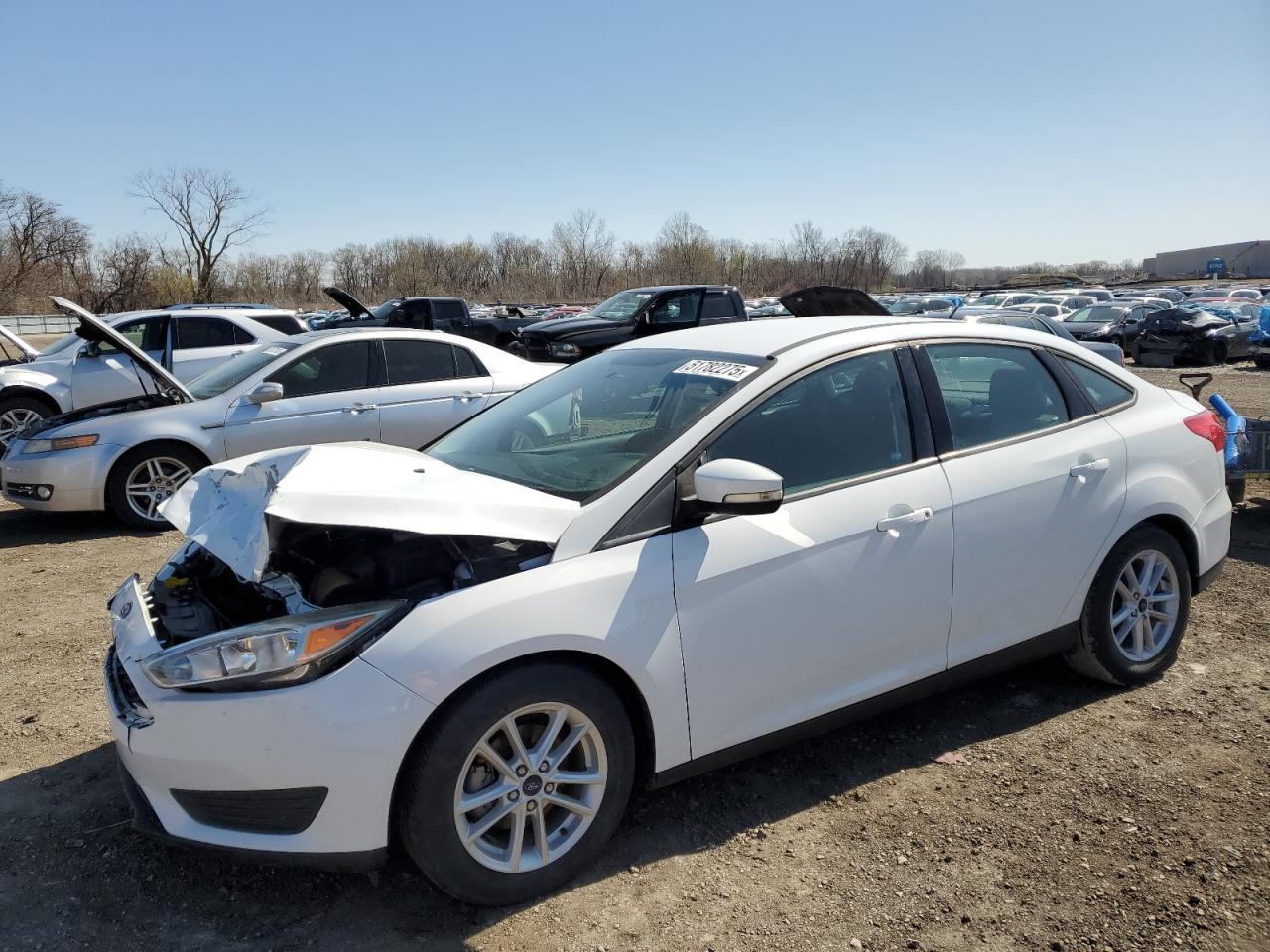 FORD FOCUS SE