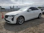 Top Destinations for Shipping Cars from the USA