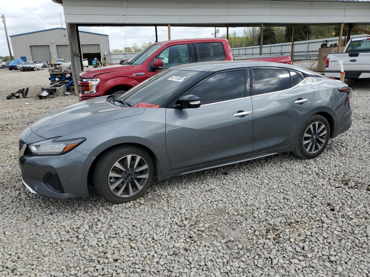NISSAN MAXIMA SV
