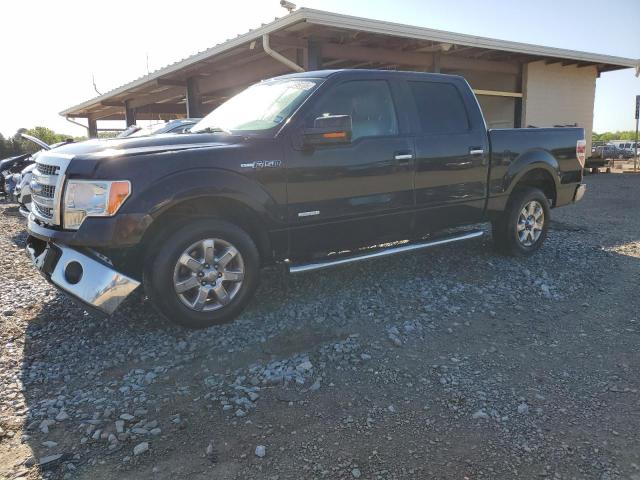 Vin: 1ftfw1ct0dfa57130, lot: 52349135, ford f-150 supercrew 2013 img_1