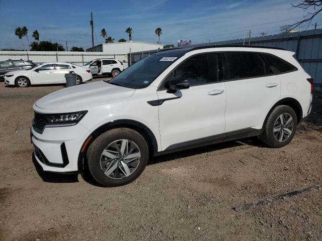 Vin: 5xyrl4lc0pg181259, lot: 53523155, kia sorento s 2023 img_1