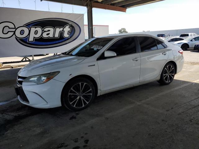 TOYOTA CAMRY HYBR