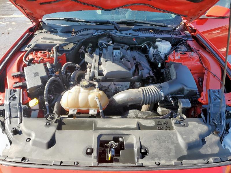 2019 FORD MUSTANG - 1FA6P8TH3K5159743