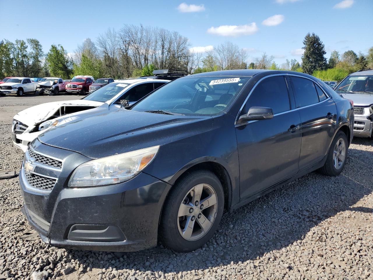 CHEVROLET MALIBU 1LT