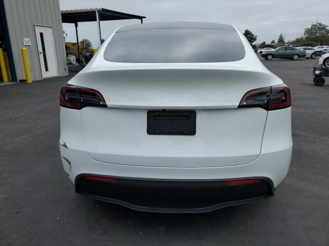 2023 TESLA MODEL Y - 7SAYGDEEXPF744472