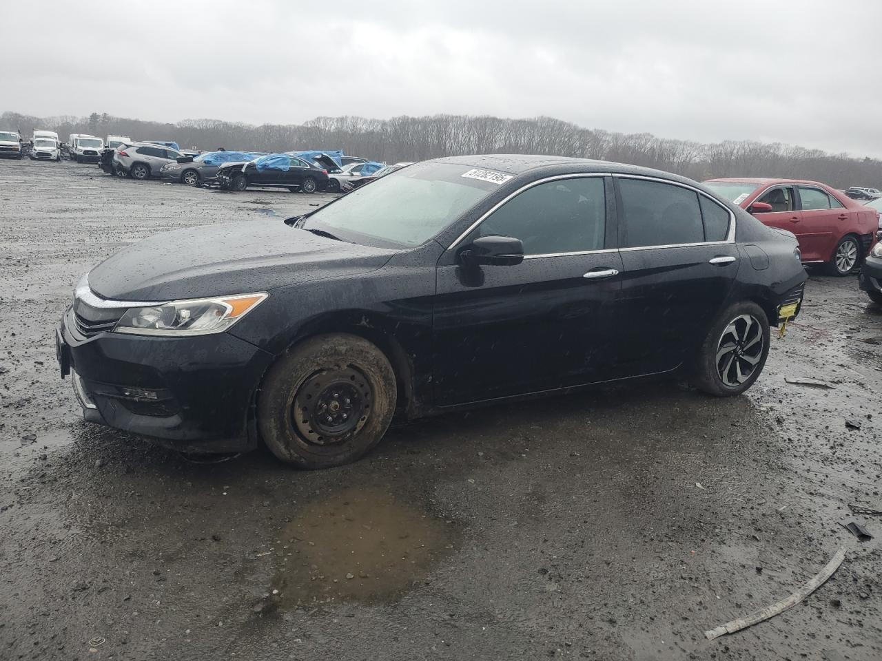 HONDA ACCORD EX