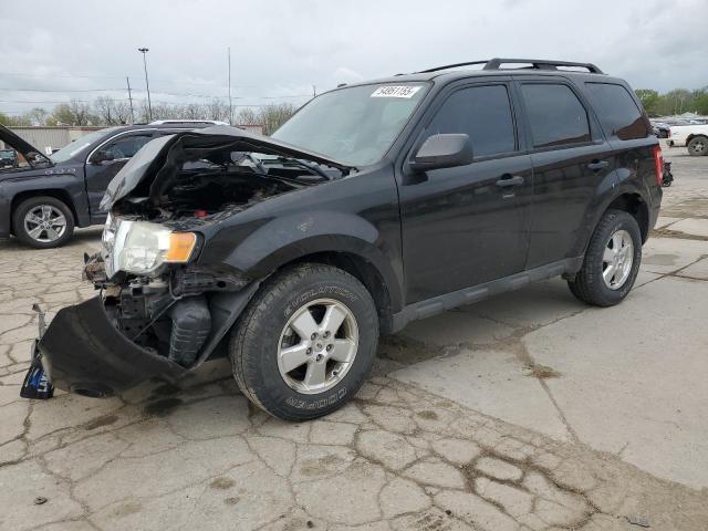 Vin: 1fmcu9d71bkb35195, lot: 54951155, ford escape xlt 2011 img_1