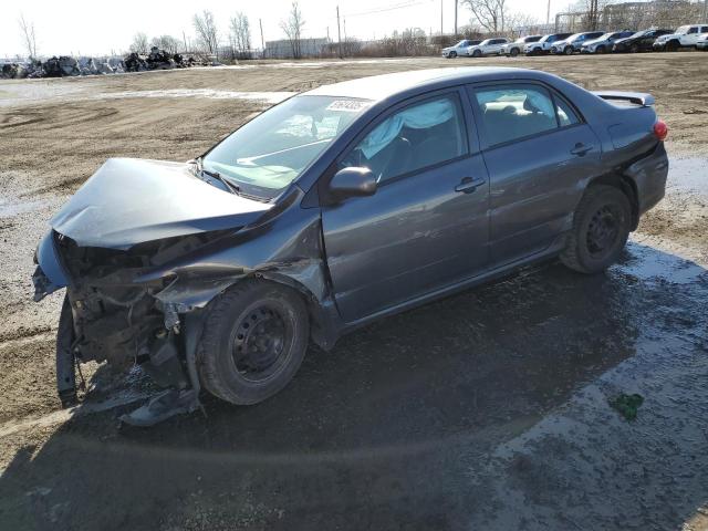 TOYOTA COROLLA BA