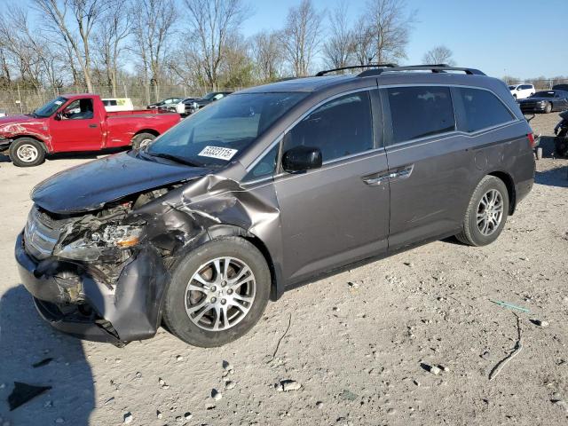 Vin: 5fnrl5h63db021212, lot: 53323115, honda all models exl 2013 img_1