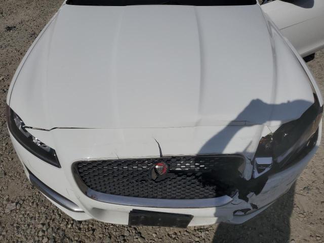 2016 JAGUAR XF PREMIUM SAJBJ4BV2GCY24002