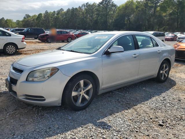 Vin: 1g1zc5eu5bf130596, lot: 50930635, chevrolet malibu 1lt 2011 img_1