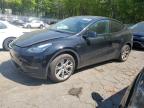 2023 TESLA MODEL Y - 7SAYGDEE0PA156514