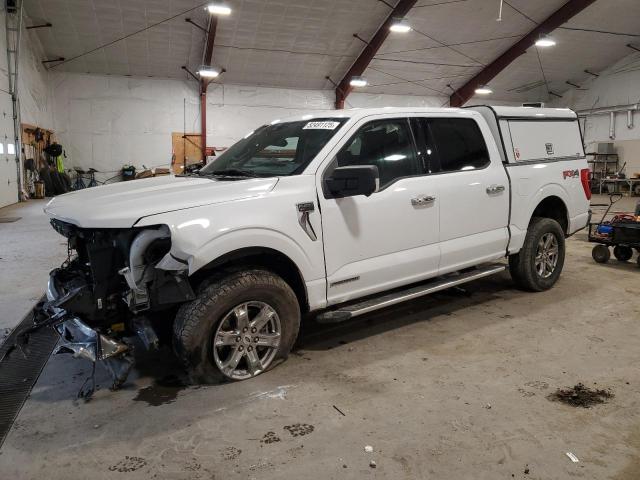 Vin: 1ftfw1ed7nfb74517, lot: 52491125, ford f-150 supercrew 2022 img_1