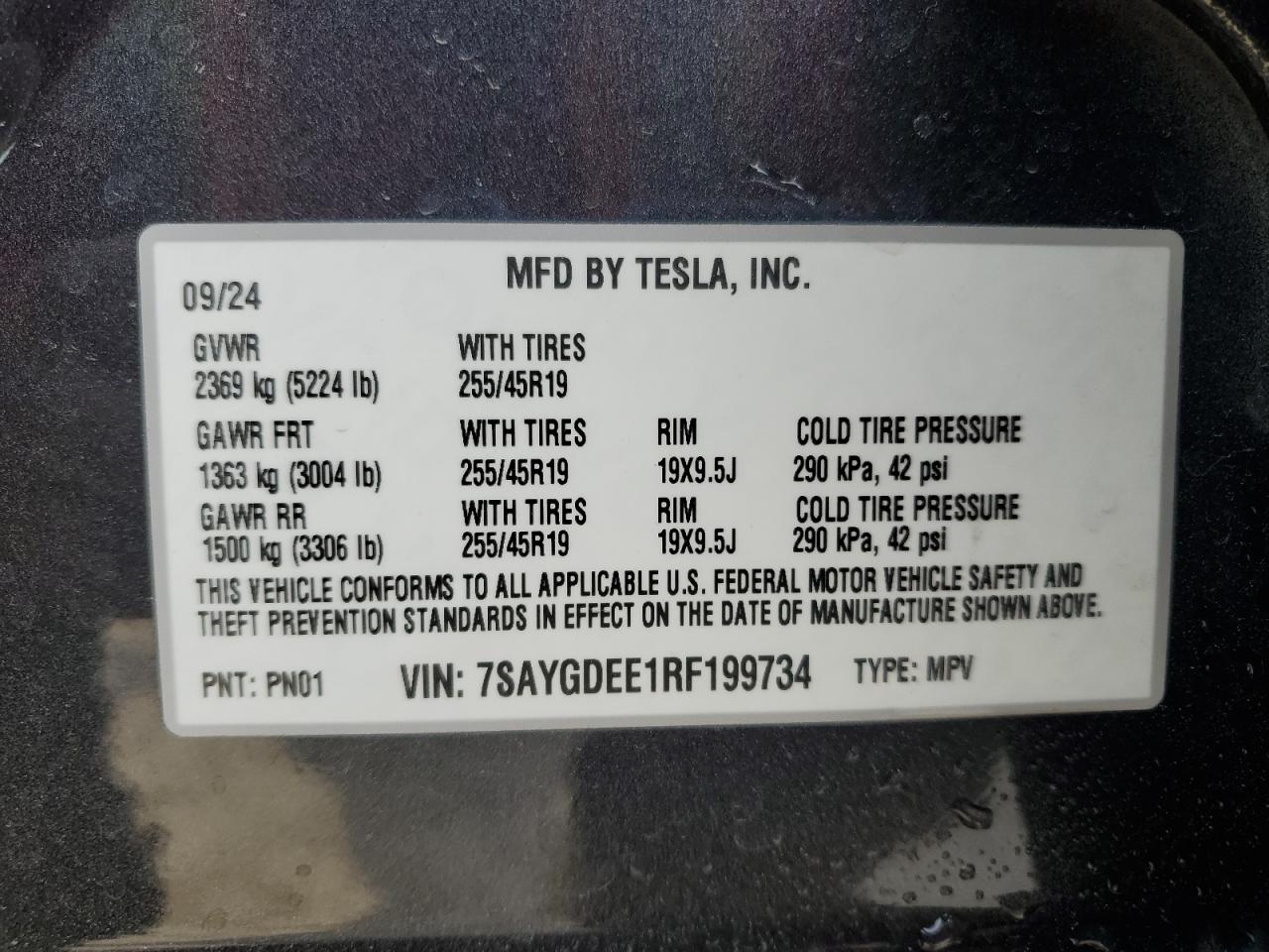 TESLA MODEL Y