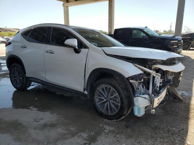 2024 LEXUS NX 250 PRE JTJGDCAZ1R5017114