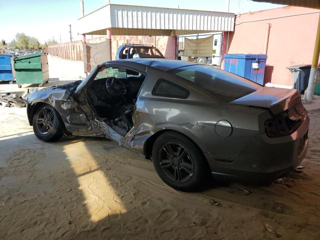2013 FORD MUSTANG - 1ZVBP8AM1D5275371