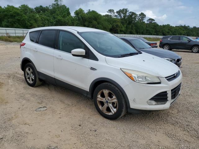 Vin: 1fmcu0gx7dub95853, lot: 53971345, ford escape se 20134