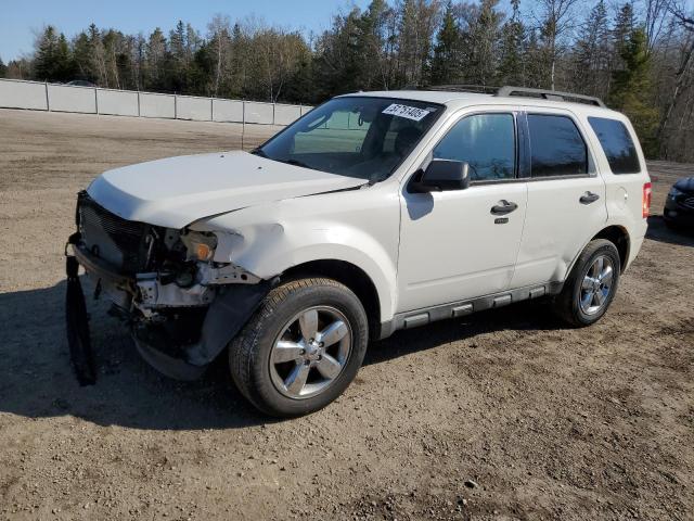 Vin: 1fmcu9dg7akb73660, lot: 51751405, ford escape xlt 2010 img_1