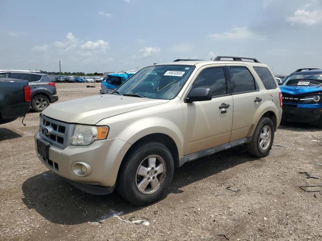 Vin: 1fmcu0d76bka92498, lot: 54633555, ford escape xlt 2011 img_1