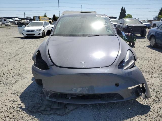 2023 TESLA MODEL Y #3291554917