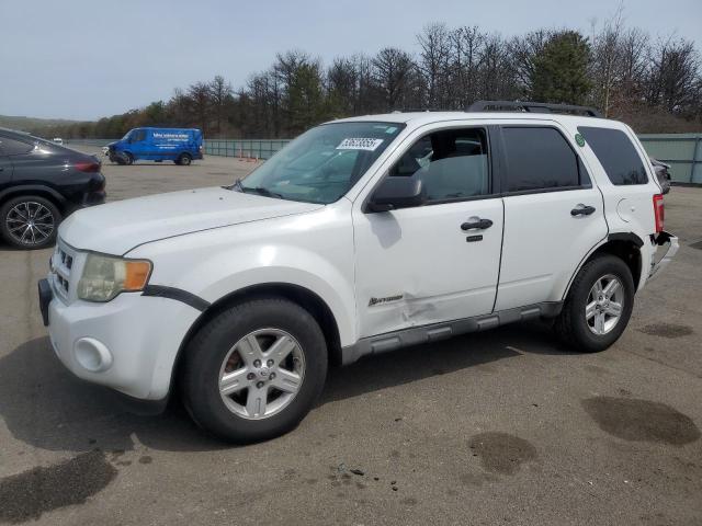 Vin: 1fmcu5k30akc13098, lot: 53623855, ford escape hybrid 2010 img_1