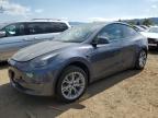 2023 TESLA MODEL Y - 7SAYGDEE6PF781681